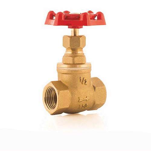 عامل فروش شیر سوزنی کیز ایران